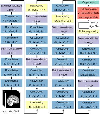 Predicting Body Mass Index From Structural MRI Brain Images Using a Deep Convolutional Neural Network